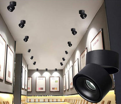 LED Ceiling Spotlight-Indoor 360°Adjustable Surface Mounted 10W COB Ceiling Downlight-Wall Lamp for Picture Background Wall Display Lighting(Black,4000K Natural Light)