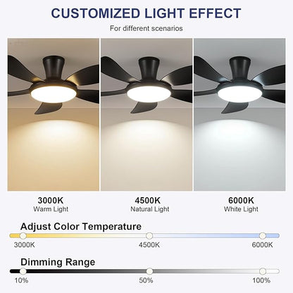 PHORUS 48" Black Low Profile Ceiling Fans with Lights and Remote/APP, Modern Flush Mount Ceiling Fans with Quiet Reversible DC Motor, Dimmable 3 Colors 6 Speeds for Bedroom Kitchen