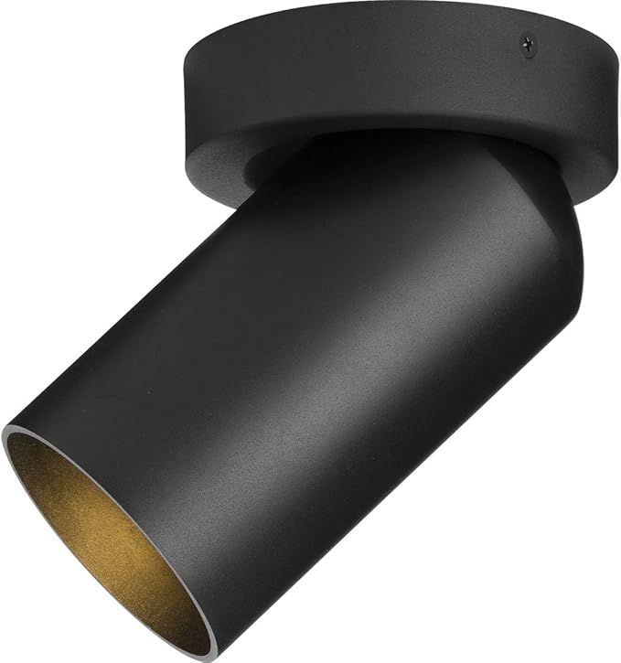 Progress Lighting P550140-031 Adjustable Ceiling Mount, 1-Light 60 Watts, Black