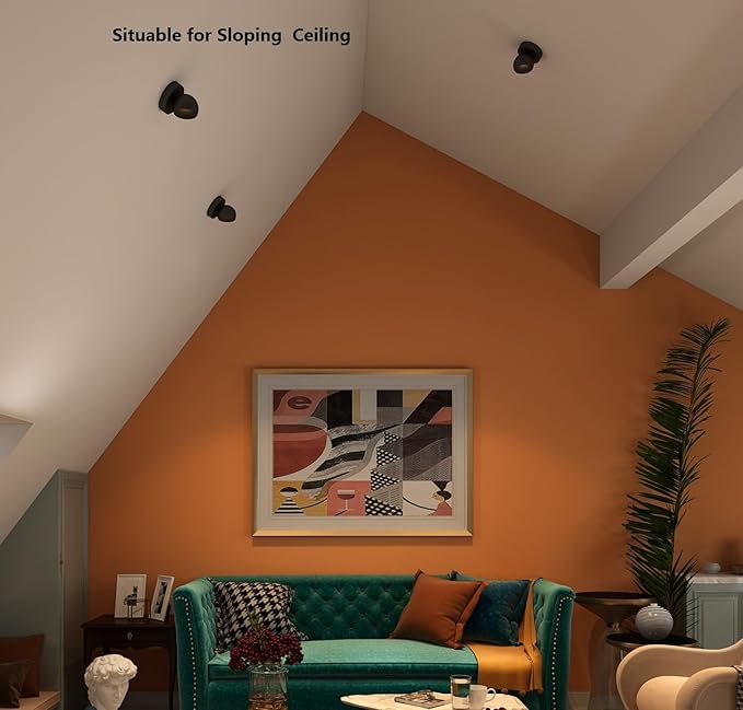 LED Ceiling Light Dimmable Flush Mount Adjustable Ceiling Light Fixture, Directional Spotlight for Pictures Living Room Bedroom Foyer - 3000K 11W 25° Flicker Free (Black)