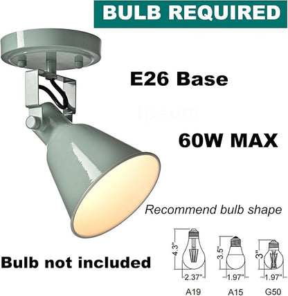 DIRYZON 1-Light Adjustable Sea Blue Green Spotlight, Semi Flush Mount Ceiling Light Fixture Track Light for Bedroom, Kitchen, Hallway & Wall Art Display