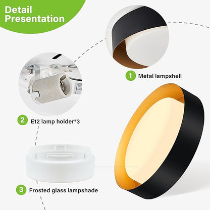 Yiisem Modern Black and Gold Flush Mount Ceiling Lights, 16.5" Minimalist Glass Round Ceiling Lighting, Drum Close to Ceiling Light Fixtures for Living Room, Bedroom, Dining Room, Kitchen, Hallways