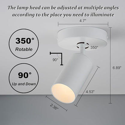 White Spot Lights Indoor 2 Pack LED Ceiling Spotlight Fixtures Adjustable 90° Anti-Glare Spotlight for Living Room, Paintings, Wall Art and Artwork, Warm White 3000K