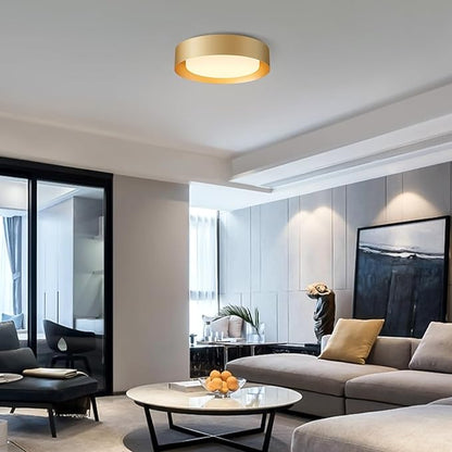Yiisem Modern Glass Gold Flush Mount Ceiling Lights, 16.5" Minimalist Round Ceiling Lighting, Drum Close to Ceiling Light Fixtures for Living Room, Bedroom, Dining Room, Kitchen, Hallways