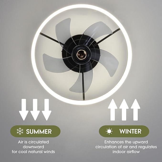 LUDOMIDE Smart Ceiling Fan with Lights and Alexa/Google Assistant/APP Control, 20" Low Profile Fan with 6 Speeds, for Bedroom, Living Room, Patio