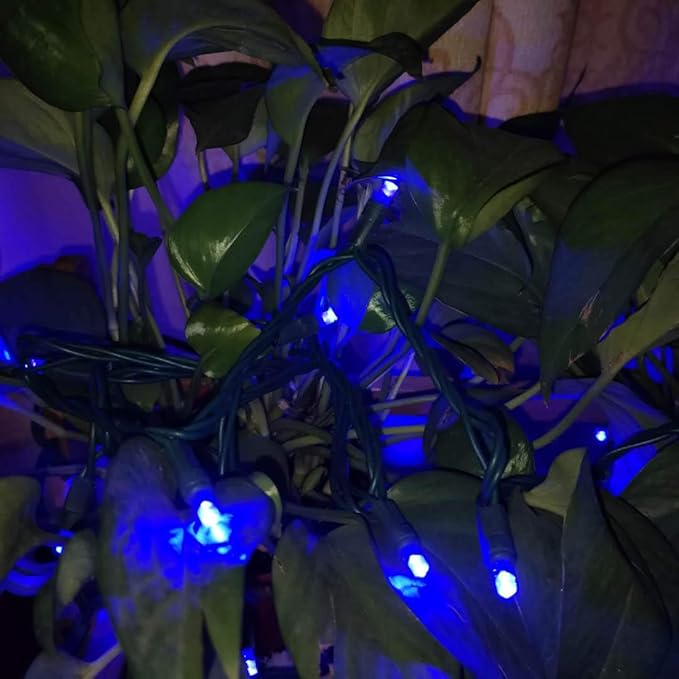 UL Listed 50 Count 5MM Wide Angle Led Christmas Lights Set,Outdoor Mini Led String Light for Garden Patio Halloween Christmas Tree Lighting Decorations,17 Feet Green Wire (Blue Color)