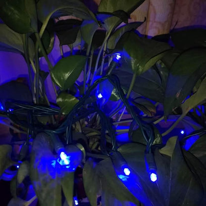 UL Listed 50 Count 5MM Wide Angle Led Christmas Lights Set,Outdoor Mini Led String Light for Garden Patio Halloween Christmas Tree Lighting Decorations,17 Feet Green Wire (Blue Color)