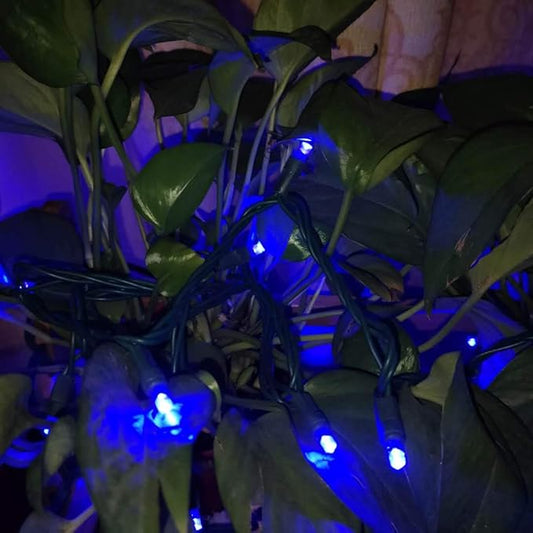 UL Listed 50 Count 5MM Wide Angle Led Christmas Lights Set,Outdoor Mini Led String Light for Garden Patio Halloween Christmas Tree Lighting Decorations,17 Feet Green Wire (Blue Color)