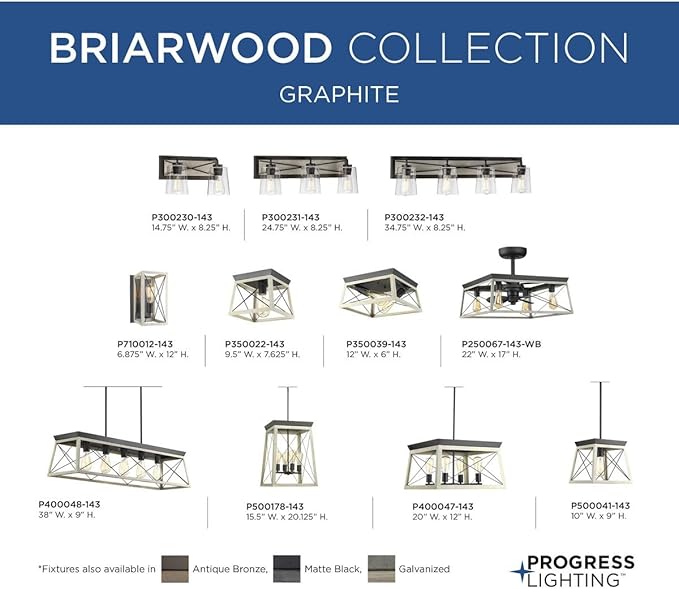 Briarwood Collection 22-Inch 3-Blade AC Motor Farmhouse Ceiling Fan Graphite