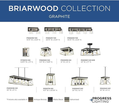Briarwood Collection 22-Inch 3-Blade AC Motor Farmhouse Ceiling Fan Graphite