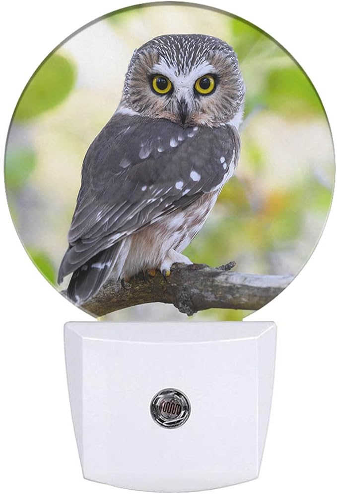 Bird Night Lights Plug into Wall Watercolor Owl Portrait Brown Feather LED Dusk to Dawn Plug-in Nightlight Auto Sensor for Bedroom Bathroom Hallway Living Room