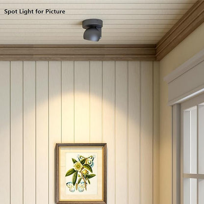 LED Ceiling Light Dimmable Flush Mount Adjustable Ceiling Light Fixture, Directional Spotlight for Pictures Living Room Bedroom Foyer - 3000K 11W 25° Flicker Free (Black)