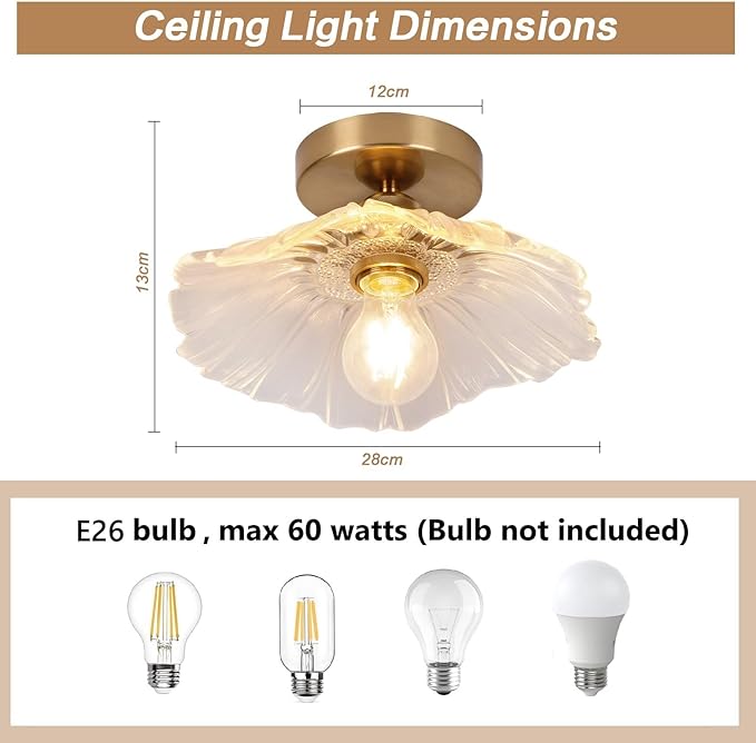 Chandelier, Flush Mount Ceiling Light, Clear Glass Shade Light Fixture, 1 Light Lighting Fixture for Bedroom,Dining Room,Kitchen, Hallway (Clear 4111CL)
