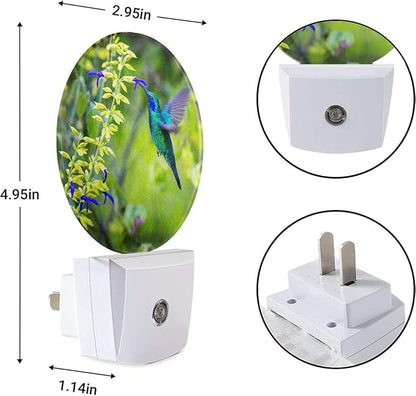 EKOBLA Hummingbird Plug-in Night Light, Spring Garden Bird & Flower LED Nightlight with Auto Sensor for Home Indoor Decor