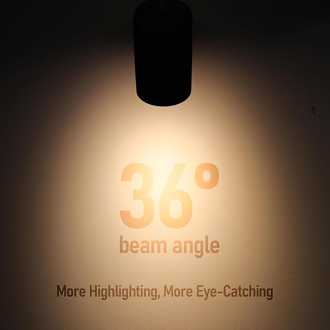 LEONLITE Studio Series 8.5W LED H Track Lighting Heads, ETL FCC T24, Dimmable Retail Track Light Heads for Store Shop Cafe, 600LM, CRI90, H Track Lighting, 5CCT, Matte Black, Pack of 4