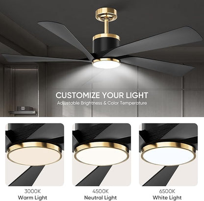 TXCSLY 52'' Ceiling Fans with Lights, Modern Ceiling Fan with Remote Control, Indoor Outdoor Ceiling Fan for Living Room, Bedroom, 5 Blade, 3 Color Temperature, Dimmable (Black & Gold)