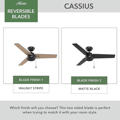 Hunter 44 inch Outdoor or Indoor Ceiling Fan No Light - Black Ceiling Fan without Light, For Patio, Porch, Garage, or Living Room, Standard Mount, 3 Blades, Pull Chain - Cassius 50260, Matte Black