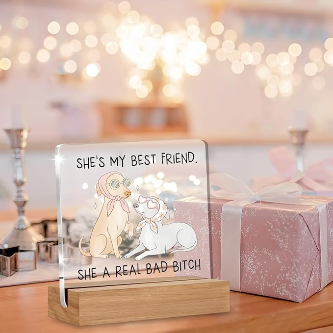 Funny Friendship Gifts for Women, Humor Christmas Birthday Gifts for Best Friend Sisters BFF, Funny Dog Acrylic Plaque Home Office Desk Decor