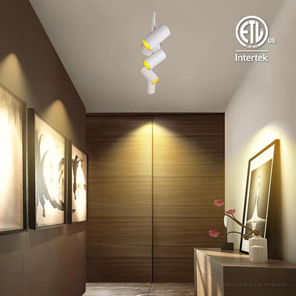 LEONLITE 36W LED Track Lighting Fixtures Ceiling Dimmable, 4 Light Directional Track Fixture Flush Mount, CRI90, 2800lm, Spotlight Ceiling Light Indoor, Aluminum, Anti-Glare, 3000K Warm White, White