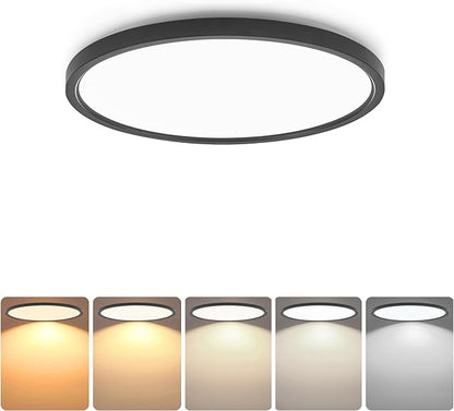 TALOYA 2 Pack of Black 10 Inch LED Ceiling Light Fixture Flush Mount for Closet Porch, 5 CCT Options, Energy Efficient Ceiling Fixture 20W Equivs to 120W Traditional Lamp Perfect for Low Ceiling
