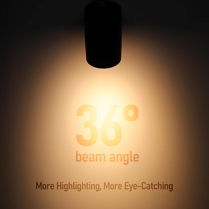 LEONLITE Retail Pro Series 17.5W LED H Track Lighting Heads, ETL Listed, Commercial Dimmable H Track Light Heads for Store Shop Restaurants, CRI90 Track Lighting, 5CCT, Matte Black, Pack of 4