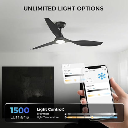 Roomratv Ceiling Fans with Lights and Remote Control,Quiet Noiseless Reversible DC Motor,6 Speeds,Timers, 3 CCT, Indoor Use, Plastic Blades,52 Inch Black Ceiling Fan Smart APP Control for Living Room