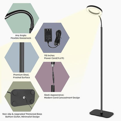 Plant Lights for Indoor Growing, Cord Hidden Standing Grow Lights for Indoor Plants, 20w Full Spectrum LED Grow Lamp for Indoor Plants,3/9/12 h Timer,10 Brightness,70" Height Adjustable, Black