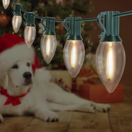 C9 LED Christmas Lights Outdoor 25FT, 25 Energy Efficient Warm White Vintage Bulbs, Connectable, Weatherproof for Roof, Xmas Tree, Porch, Yard, Patio, Holiday Decor - Green Wire