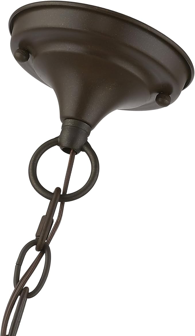 Livex Lighting 4398-02 Livingston 4-Light Convertible Hanging Lantern/Ceiling Mount, Polished Brass