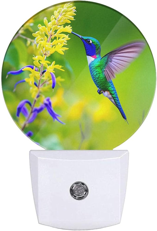 EKOBLA Hummingbird Plug-in Night Light, Spring Garden Bird & Flower LED Nightlight with Auto Sensor for Home Indoor Decor