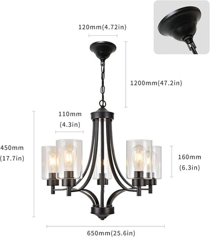 BOZO Contemporary Black Chandelier 5 Lights Farmhouse Dining Room Lighting Fixtures Hanging Bedroom Chandeliers with Clear Glass Shade Ceiling Pendant Light Black Foyer Light