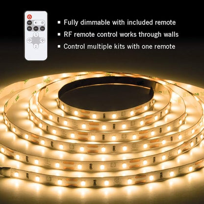 Armacost Lighting 451200 RibbonFlex Pro Series 60, 3000K-Kit 150 LED Lights