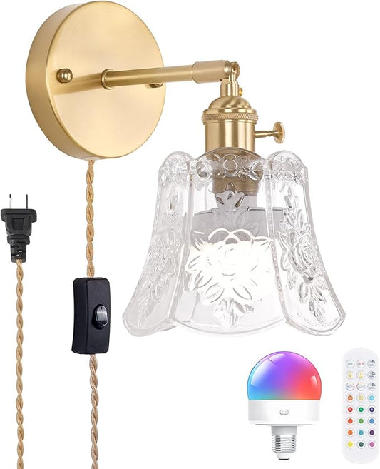 Shenmoyl Vintage Battery Operated Wall Sconce, Wireless Battery Powered Rose Wall Sconces with Remote Control, RGB Dimmable LED Plug in Wall Light for Bedside Indoor Living Room (Transparent)