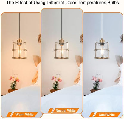 Modern Industrial Plug-in Hanging Pendant Light, Clear Glass Shade Hanging Lamp with Plug in Cord, Gold Cage Plug in Hanging Lights Fixtures for Kitchen Island, Living Dining Room, Bar, Hallway