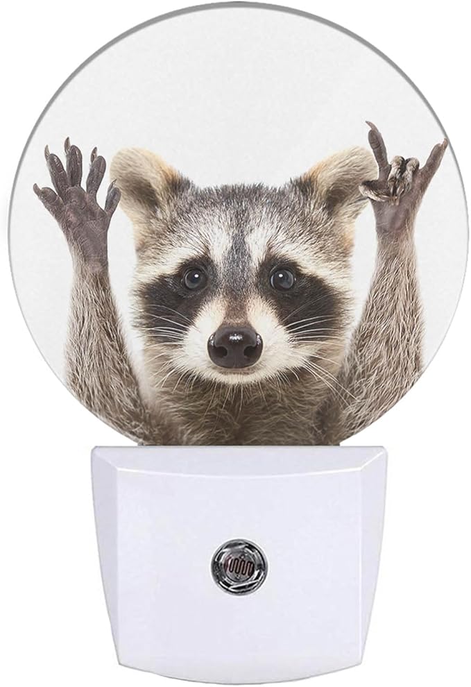 EKOBLA Raccoon Plug-in Night Light, Cute Rock & Roll Raccoon Animal LED Nightlight with Auto Sensor for Adults, Kids & Fun Home Decor