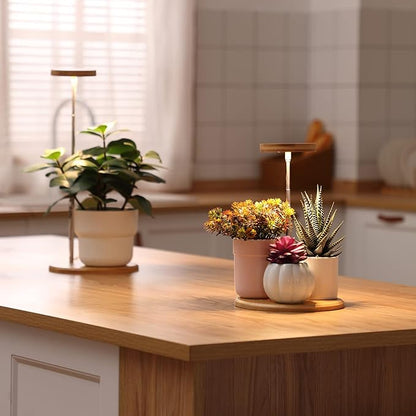 Plant Grow Light for Indoor Plant,Bamboo Mini LED Grow Light Garden,Height Adjustable,Automatic Timer with 8/12/16 Hours