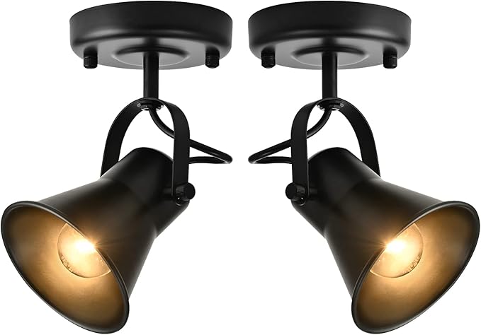 Track Light Modern Ceiling Spot Lighting Indoor, Adjustable Wall Mount Accent Light,for Bedroom Living Room Hallway Kitchen Painting(2 Pack)