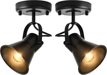 Track Light Modern Ceiling Spot Lighting Indoor, Adjustable Wall Mount Accent Light,for Bedroom Living Room Hallway Kitchen Painting(2 Pack)