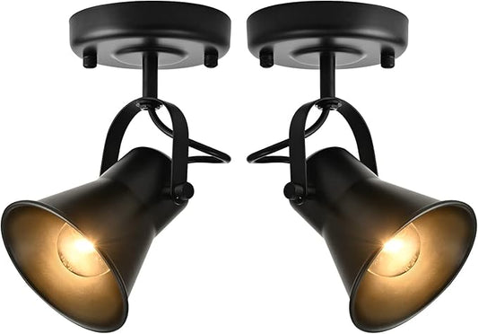 Track Light Modern Ceiling Spot Lighting Indoor, Adjustable Wall Mount Accent Light,for Bedroom Living Room Hallway Kitchen Painting(2 Pack)