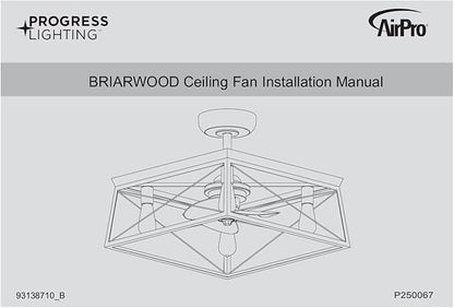 Briarwood Collection 22-Inch 3-Blade AC Motor Farmhouse Ceiling Fan Graphite