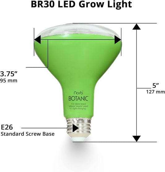 Norb NorbBOTANIC BR30 LED Grow Light – Full-Spectrum Sunlight Bulb for Indoor Plants - 14W Energy-Efficient Grow Lamp for Indoor Houseplants, Herbs, Seedlings & Tropical - E26 Base (2-Pack)