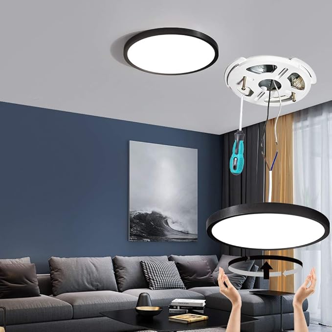 TALOYA Surface Mount LED Ceiling Light 12 Inch-2 Pack Black Shell, Equivalent to Traditional 200W Bulb Light for Kitchen Bedroom Utility Closet Room,5 in 1(3000k/3500k/4000k/5000k/6500k)