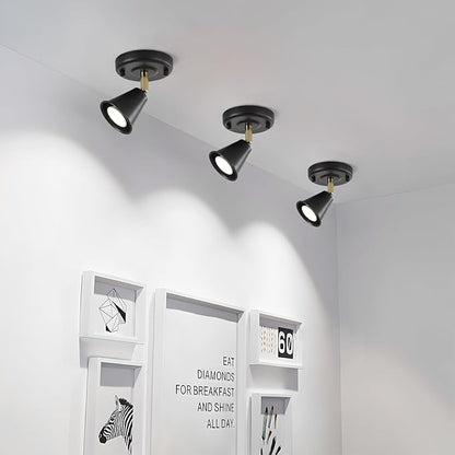 Modern Flush Mount Ceiling Spot Light, Adjustable Directional Head, Black Spot Lights Indoor, Ceiling/Wall Mounted Single Track Light for Living Room, Corridor, Stairs.（2 Pack ）