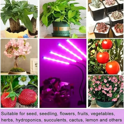 Full Spectrum 4 Heads LED Plant Grow Light with Flexible Gooseneck, 3/9/12H 3 Modes 10 Dimmable Levels, 160 LEDs Clip On Grow Light for Indoor Plants, Seed Starting, Flowers & Vegetables