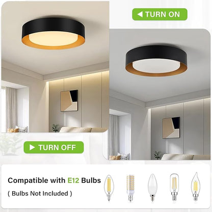 Yiisem Modern Black and Gold Flush Mount Ceiling Lights, 16.5" Minimalist Glass Round Ceiling Lighting, Drum Close to Ceiling Light Fixtures for Living Room, Bedroom, Dining Room, Kitchen, Hallways