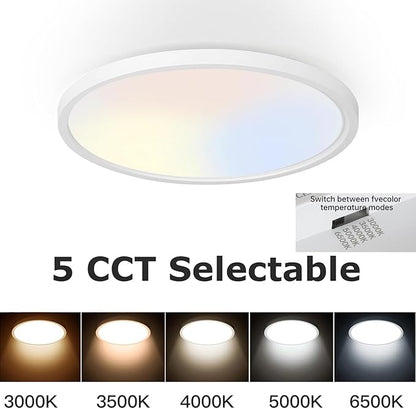 TALOYA 2 Pack of White 10 Inch Ceiling Mount LED Light Fixture, 5-in-1 CCT Selectable, 2000lw 20W Super Bright Round Ultra Slim Surface Mounted Lamp for Basement Foyer Hallway Kitchen