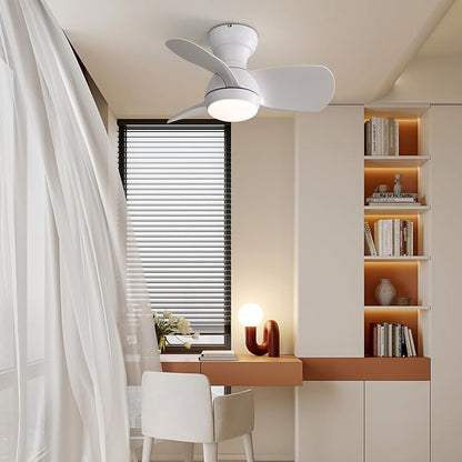 KEIKI 23 Inch Ceiling Fans with Lights & Remote Indoor, Outdoor Modern Ceiling Fan, Small Noiseless Fan w/Dimmable & Timer for Bedroom & Kitchen, 3 ABS Blades & 6 Speed Reversible DC Motor, White