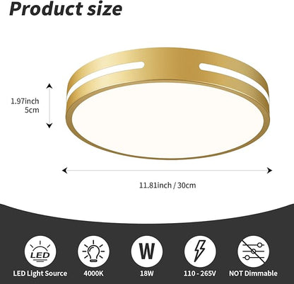 Modern Brushed Gold Flush Mount Ceiling Light Mid-Century LED Ceiling Light Bedroom Light Fixture Minimalist Ceiling Lamp for Laundry Room Kitchen Hallway Bathroom 11.81 Inch