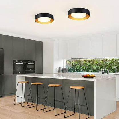 Yiisem Modern Black and Gold Flush Mount Ceiling Lights, 16.5" Minimalist Glass Round Ceiling Lighting, Drum Close to Ceiling Light Fixtures for Living Room, Bedroom, Dining Room, Kitchen, Hallways