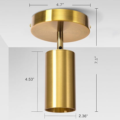 Track Lighting Ceiling Spotlight, Gold Ceiling Light Fixture, Gu10 Spotlights Indoor Angle Adjustment Modern Wall Lamp for Living Room, Gallery, Cabinet, Hallway, Bedroom 2 Packs